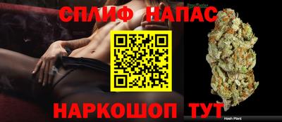прущие грибы Бузулук