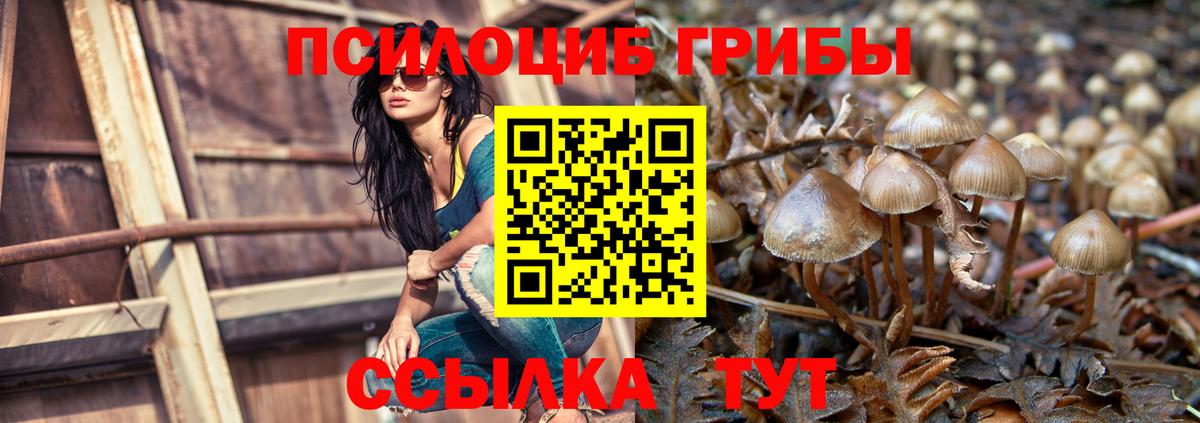 Галлюциногенные грибы Cubensis Москва