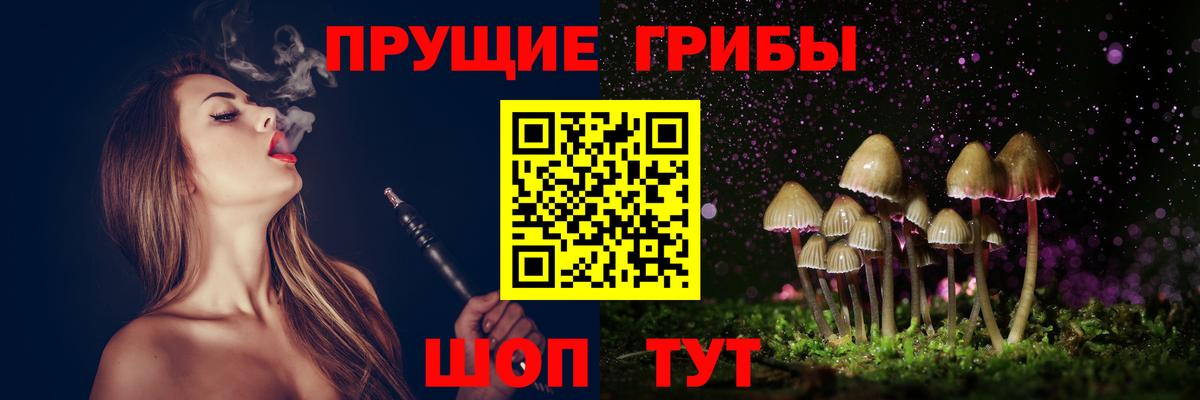 Галлюциногенные грибы Psilocybine cubensis  Вход с VPN  Москва 